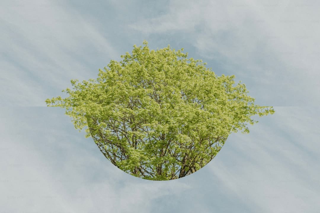 方寸绿意间，装下高原古城的民生暖意